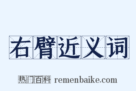 右臂近义词是什么意思的图片
